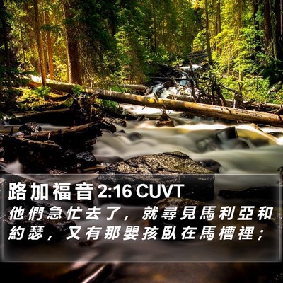 路 加 福 音 2:16 CUVT Bible Verse Image