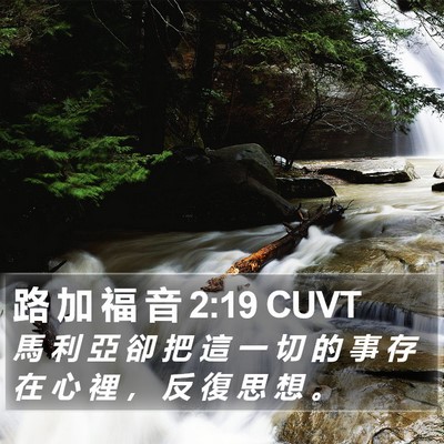 路 加 福 音 2:19 CUVT Bible Verse Image