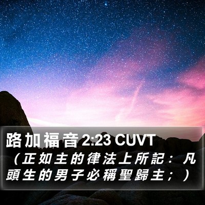 路 加 福 音 2:23 CUVT Bible Verse Image
