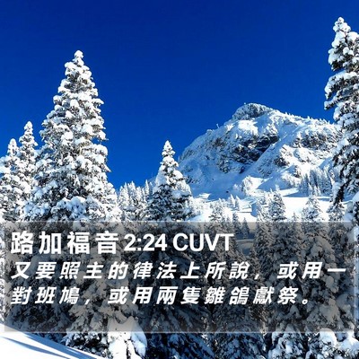 路 加 福 音 2:24 CUVT Bible Verse Image