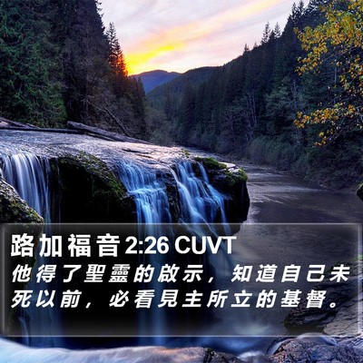 路 加 福 音 2:26 CUVT Bible Verse Image