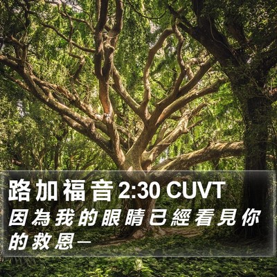路 加 福 音 2:30 CUVT Bible Verse Image