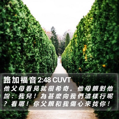 路 加 福 音 2:48 CUVT Bible Verse Image