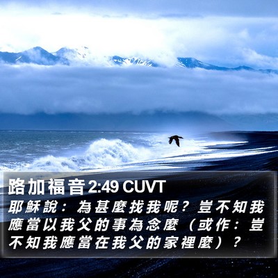 路 加 福 音 2:49 CUVT Bible Verse Image