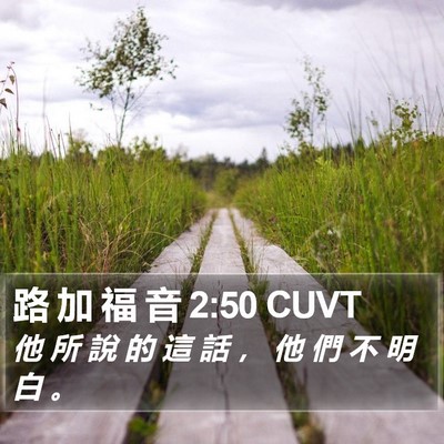 路 加 福 音 2:50 CUVT Bible Verse Image
