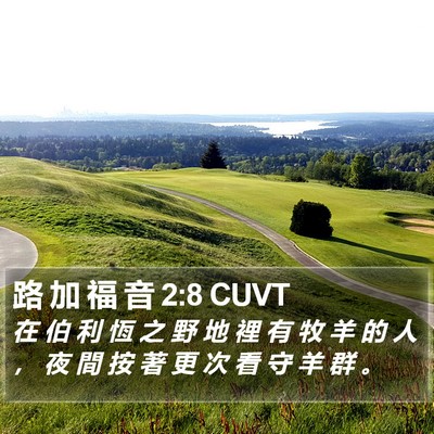 路 加 福 音 2:8 CUVT Bible Verse Image