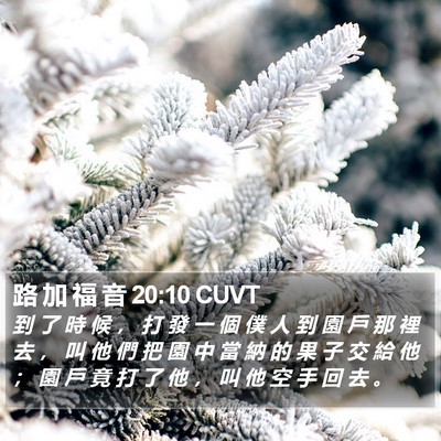 路 加 福 音 20:10 CUVT Bible Verse Image