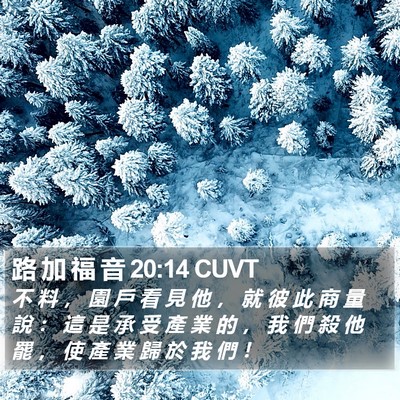 路 加 福 音 20:14 CUVT Bible Verse Image