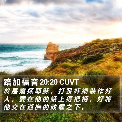 路 加 福 音 20:20 CUVT Bible Verse Image