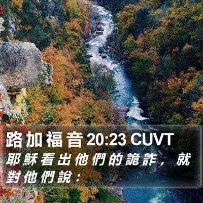 路 加 福 音 20:23 CUVT Bible Verse Image