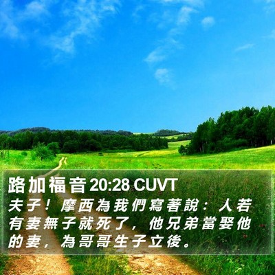 路 加 福 音 20:28 CUVT Bible Verse Image
