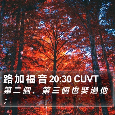 路 加 福 音 20:30 CUVT Bible Verse Image
