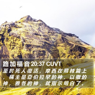 路 加 福 音 20:37 CUVT Bible Verse Image