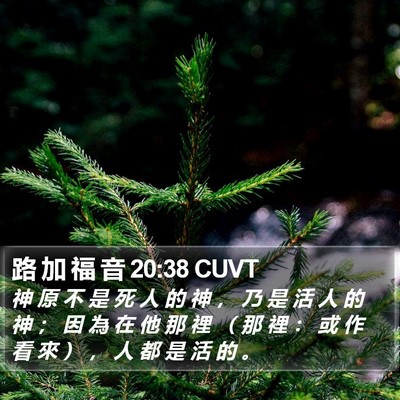路 加 福 音 20:38 CUVT Bible Verse Image