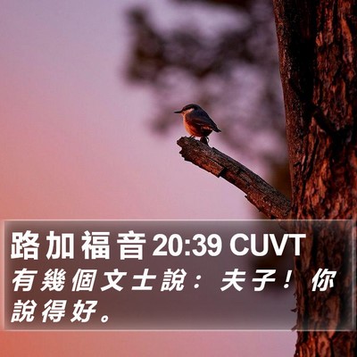 路 加 福 音 20:39 CUVT Bible Verse Image