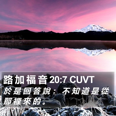 路 加 福 音 20:7 CUVT Bible Verse Image