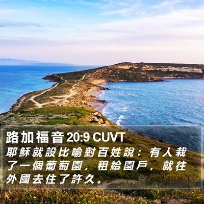 路 加 福 音 20:9 CUVT Bible Verse Image