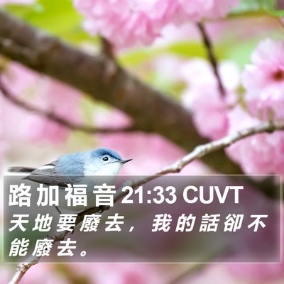 路 加 福 音 21:33 CUVT Bible Verse Image