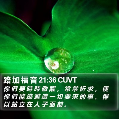 路 加 福 音 21:36 CUVT Bible Verse Image