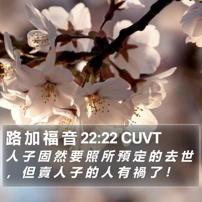 路 加 福 音 22:22 CUVT Bible Verse Image