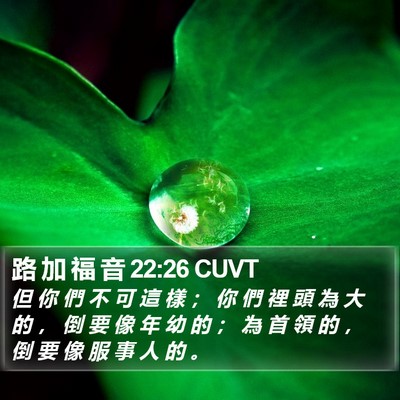 路 加 福 音 22:26 CUVT Bible Verse Image