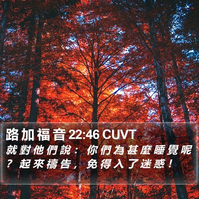 路 加 福 音 22:46 CUVT Bible Verse Image