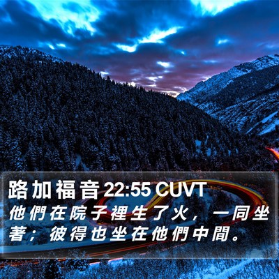 路 加 福 音 22:55 CUVT Bible Verse Image