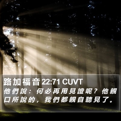 路 加 福 音 22:71 CUVT Bible Verse Image