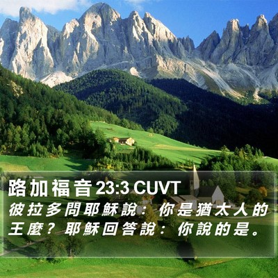路 加 福 音 23:3 CUVT Bible Verse Image