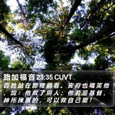 路 加 福 音 23:35 CUVT Bible Verse Image