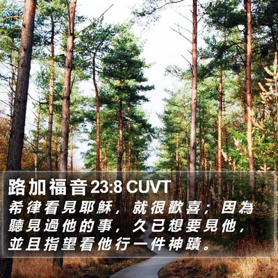 路 加 福 音 23:8 CUVT Bible Verse Image