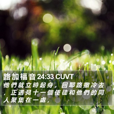 路 加 福 音 24:33 CUVT Bible Verse Image