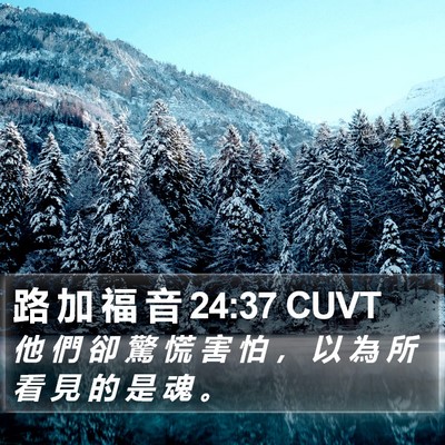 路 加 福 音 24:37 CUVT Bible Verse Image