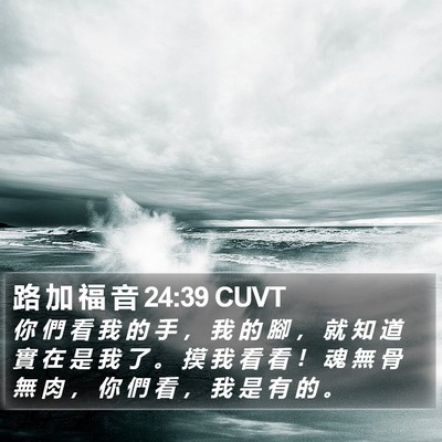 路 加 福 音 24:39 CUVT Bible Verse Image