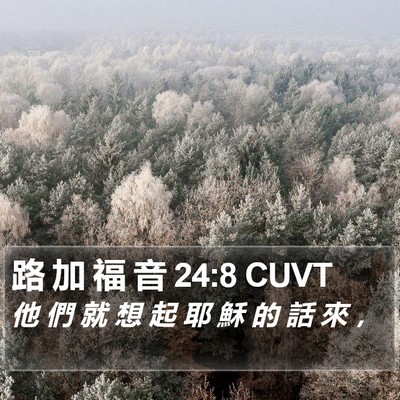 路 加 福 音 24:8 CUVT Bible Verse Image