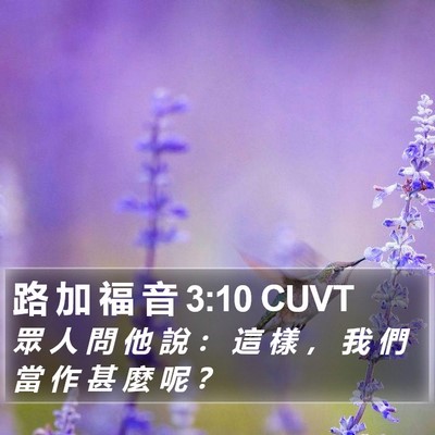 路 加 福 音 3:10 CUVT Bible Verse Image