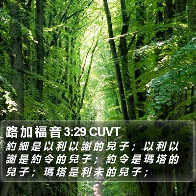 路 加 福 音 3:29 CUVT Bible Verse Image