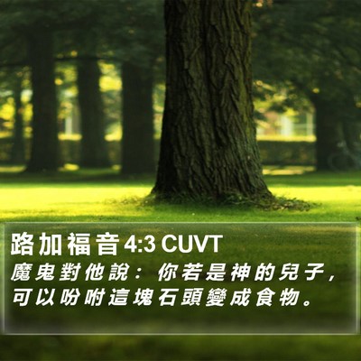 路 加 福 音 4:3 CUVT Bible Verse Image