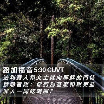 路 加 福 音 5:30 CUVT Bible Verse Image