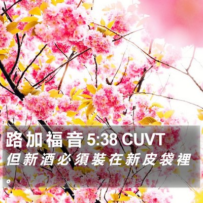 路 加 福 音 5:38 CUVT Bible Verse Image
