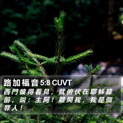路 加 福 音 5:8 CUVT Bible Verse Image