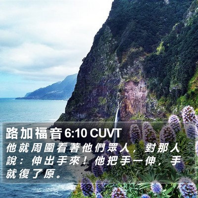 路 加 福 音 6:10 CUVT Bible Verse Image
