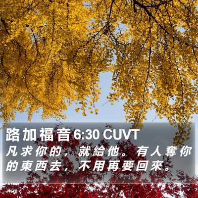 路 加 福 音 6:30 CUVT Bible Verse Image