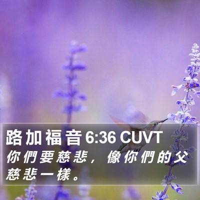 路 加 福 音 6:36 CUVT Bible Verse Image