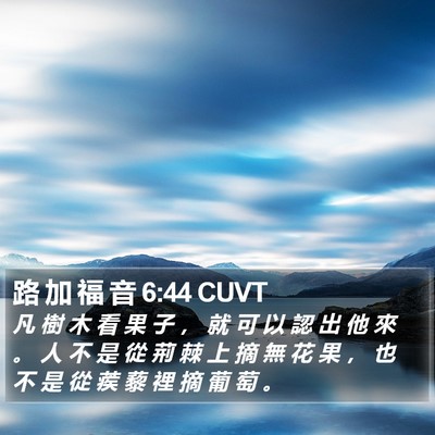 路 加 福 音 6:44 CUVT Bible Verse Image