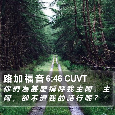 路 加 福 音 6:46 CUVT Bible Verse Image
