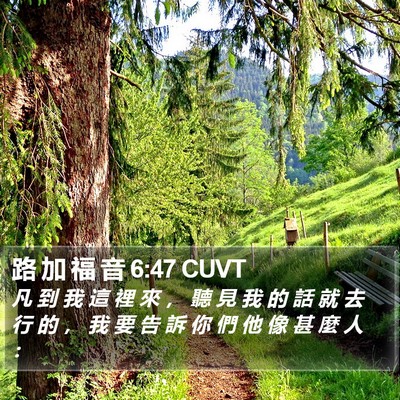 路 加 福 音 6:47 CUVT Bible Verse Image