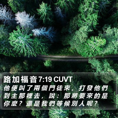 路 加 福 音 7:19 CUVT Bible Verse Image