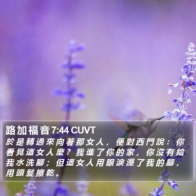 路 加 福 音 7:44 CUVT Bible Verse Image