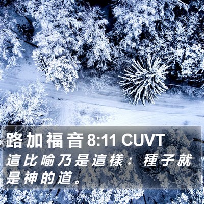 路 加 福 音 8:11 CUVT Bible Verse Image